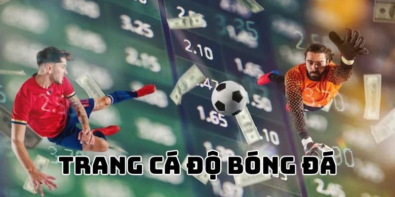 Tổng quan về trang cá cược bóng đá cho hội viên mới